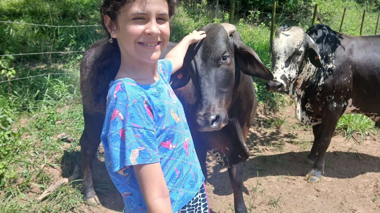 Bora ver que reconheço  meu amigo pretinho .Porá de tour pelo o piquete 