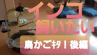 セキセイインコ 飼いたい③後編 鳥かご ｷﾀ！ ファープラスト 鳥かご おしゃれ