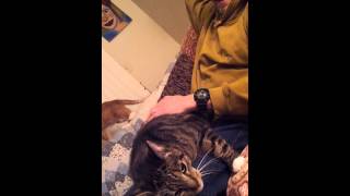 Big Baby Helmut And His Daddy