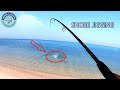 جيجينج من الشاطئ Shore Jigging