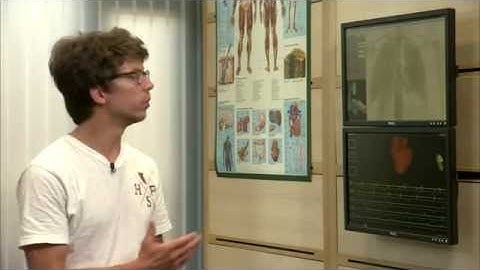 A story of a PhD : Hugo Talbot (english version)