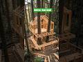 Built around living trees 🌲  not cut down, but engineered to coexist. #buildingsimulation #content
