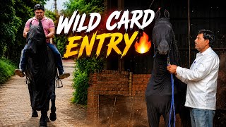 Shocking 😨Pahalwan Farms Pr Ek Beautiful Chaalbaaz Stallion Ki Wildcard Entry Ho Gyi 🔥