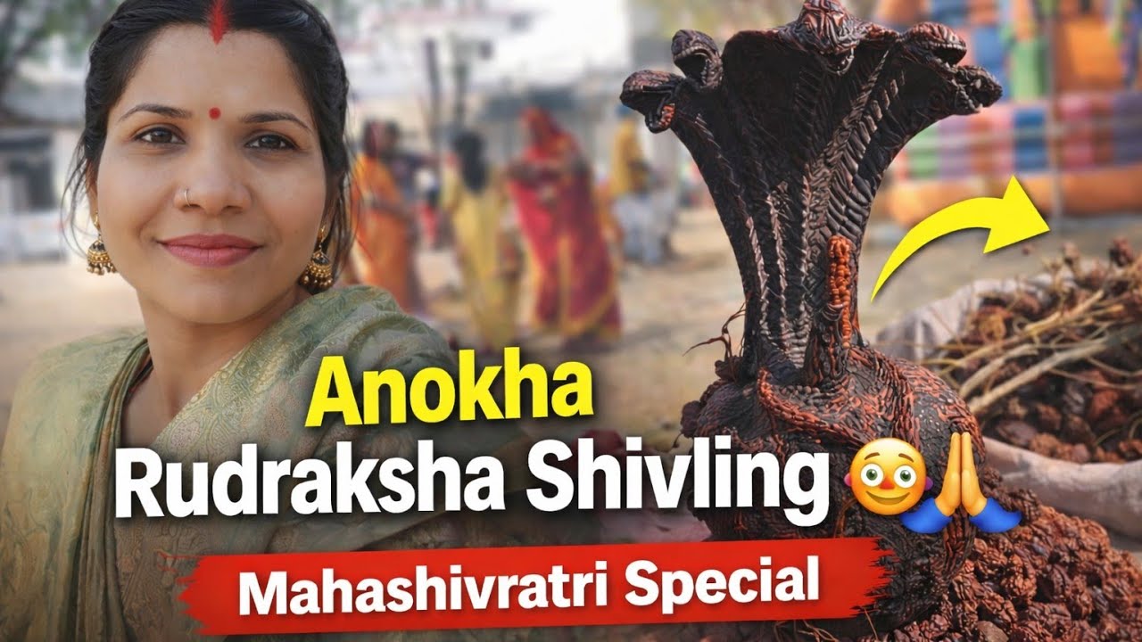 “Mahashivratri Vlog 🙏 | Rudraksha Shivling Darshan ✨ + New Ghar Ki Khushkhabri 🏠 | Family Time”