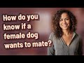 How Do You Know If A Female Dog Wants To Mate