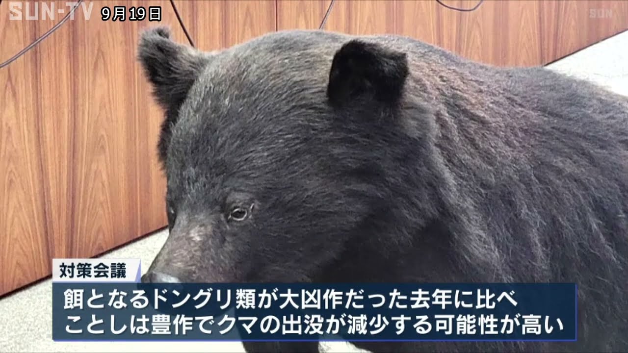 集落への出没相次ぐ 兵庫県がツキノワグマ対策会議で注意呼び掛け