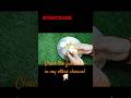 Unique egg recipe | Egg recipe #shorts #ytshorts #youtubeshorts