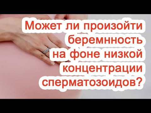 Может ли произойти беременность на фоне низкой концентрации сперматозоидов? / Доктор Черепанов