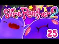 SLIME RANCHER 2 ~ THE BIG BAT!!! : 25