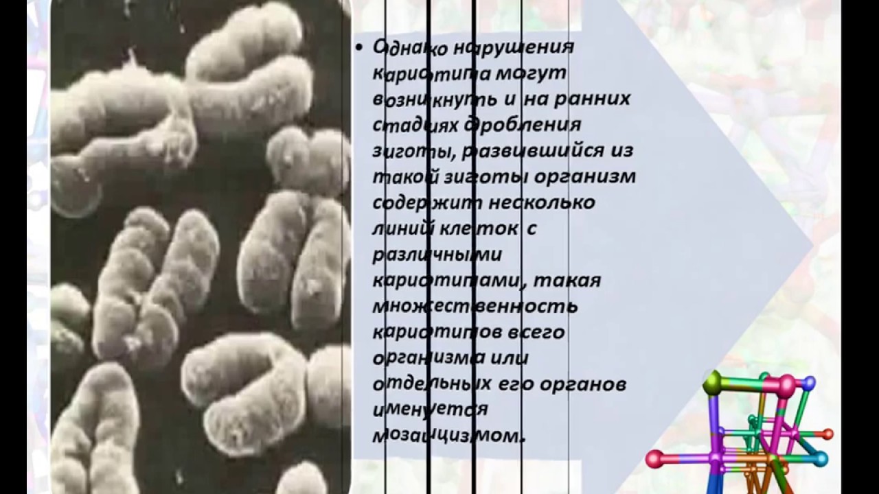 Аномальные кариотипы