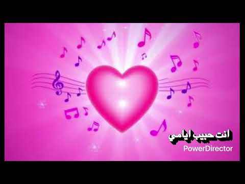 إنت حبيب أيامي أغنية رومانسية 2025 