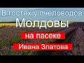 В гостях у пчеловодов Молдовы & На пасеке Ивана Златова