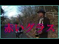 テナーサックスで唄う「赤いグラス」 #懐かしいメロディ  #昭和歌謡