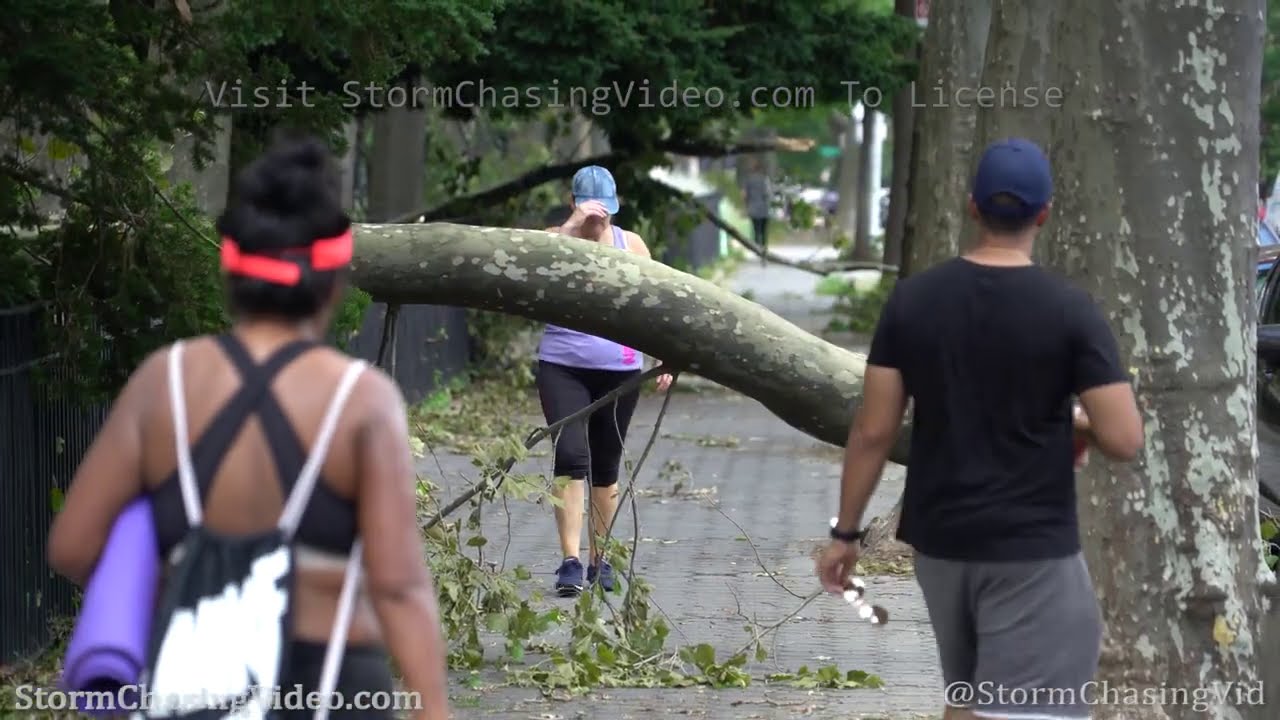 Isaias Aftermath, Astoria Park Queens NYC, NY - 8/5/2020