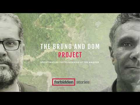 THE BRUNO AND DOM PROJECT | Investigating the plundering of the Amazon