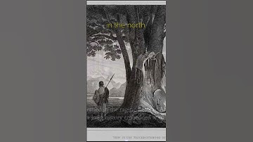 The Man From the East pt 1 | Fear and Hunger 2 Termina #fearandhunger2