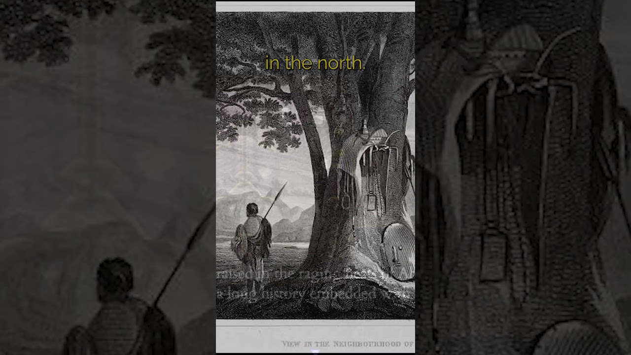 Человек с Востока, часть 1 | Страх и голод 2. Термина 