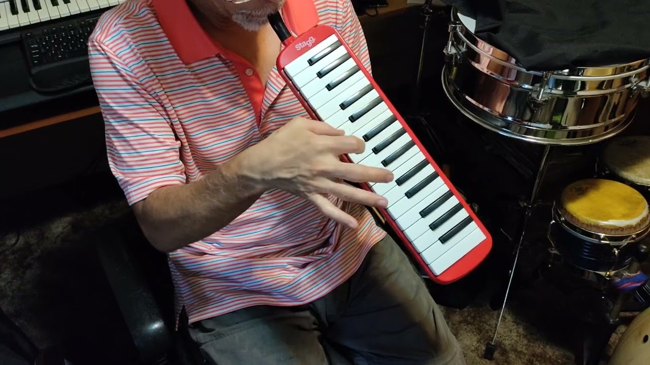 Stagg Melodica Performance 