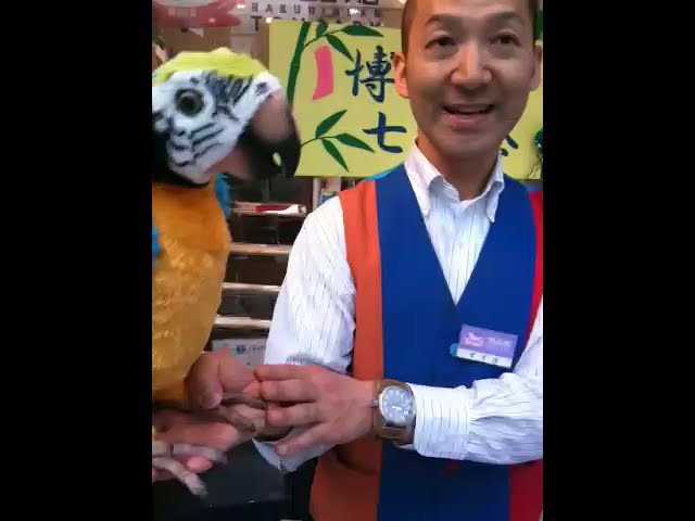 夢オウム セガトイズ - YouTube