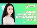 Разбор насекомых с реального ЕГЭ 2021 | Биология ЕГЭ 2022 | Умскул