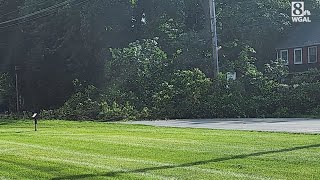 Storms bring down trees in Lancaster County