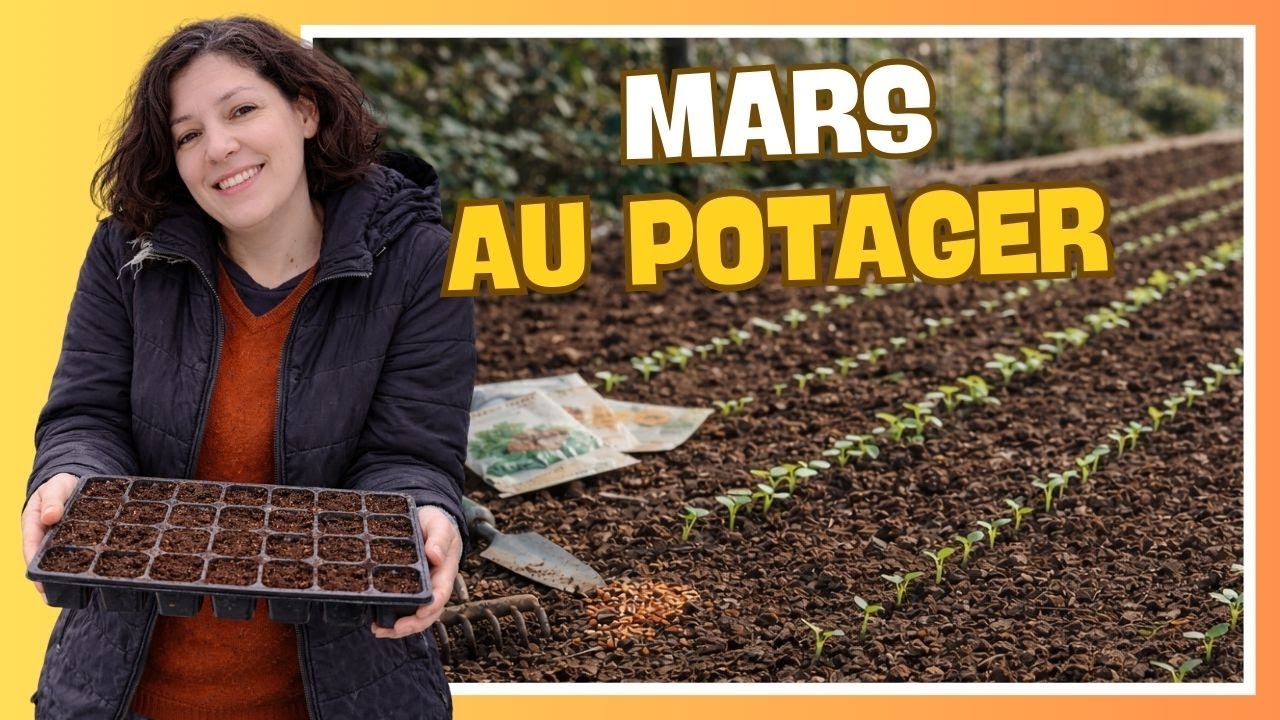 👩‍🌾 Que faire au potager en mars ? Semis, plantations et travaux du mois