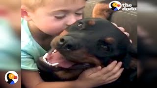 Rottweilers Give Little Boy Biggest Kisses | The Dodo