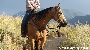 Grant***For info, price, etc., go to our website: ValleyViewRanch.net***