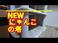 【巨大な塔】大型のキャットタワーを購入しました！【現る！】