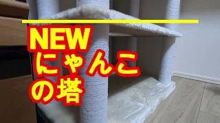 【巨大な塔】大型のキャットタワーを購入しました！【現る！】