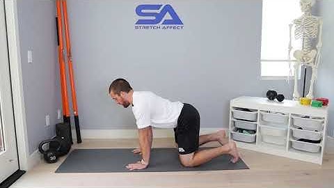 Quadruped Spine Extension PAILs/RAILs