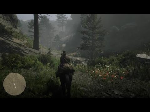 Video: Rockstar Pratar Red Dead Redemption 2: S Djurliv, Jakt Och Fiske