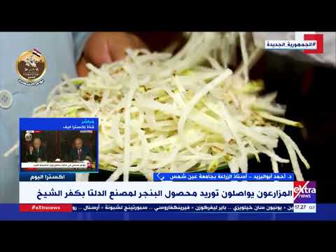 د أحمد أبو اليزيد أستاذ الزراعة يوضح دور الدولة في تحقيق الاكتفاء الذاتي من محصول بنجر السكر