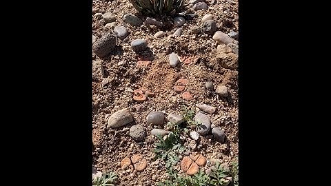 Visiting Steven Brack