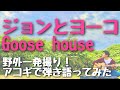 ★Request Song!!!★【ジョンとヨーコ / Goose house】弾き語りカバー@江戸川 / 丸山詩乃