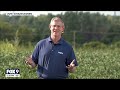Pending hemp ban threatens jobs in Minnesota