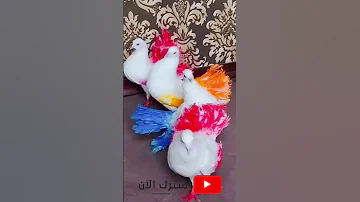 حمام ملون ولا أروع أفكار و حيل ماما فيفي DIY 