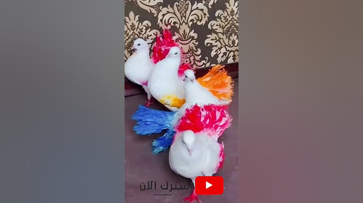 حمام ملون  ولا أروع 💥 أفكار و حيل ماما فيفي DIY