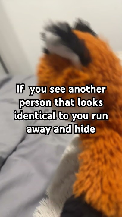 If You See Another Person That Looks Identical To You If you see another person that looks identical to you #funny #stuffies