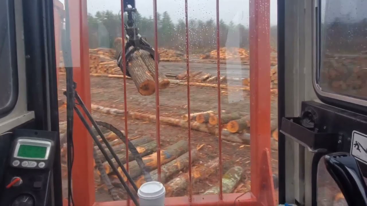 Moving Red Oak logs. 🌳