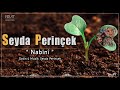 Seyda Perinçek NABÎNÎ