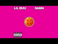 Lil Buu - damn (Outro Song)