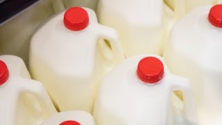 Why You Should Never Buy Milk From Aldi