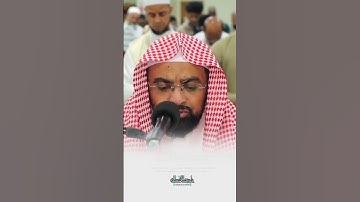خواتيم سورة النبأ بتلاوة خاشعة | الشيخ ناصر القطامي #قرآن #قرآن_كريم #ناصر_القطامي #ناصرالقطامي
