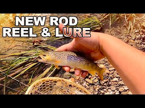 We Went TROUT Fishing With A NEW Rod And Reel Combo! 