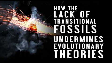 Evolution Impossible