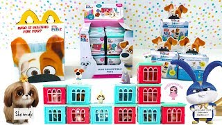 Mcdonalds Happy Meal The Secret Life Of Pets 2 Full Box Of Mini Collectible Pets And Raz Candy Toy