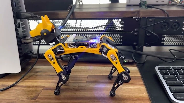 Petoi Bittle Actions