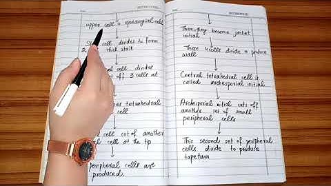 What is Adiantum? Development of sporangium of Adiantum | by The Pool of Science