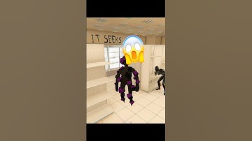 HIDE IN THE BACKROOMS / HIDE IN THE BACKROOM